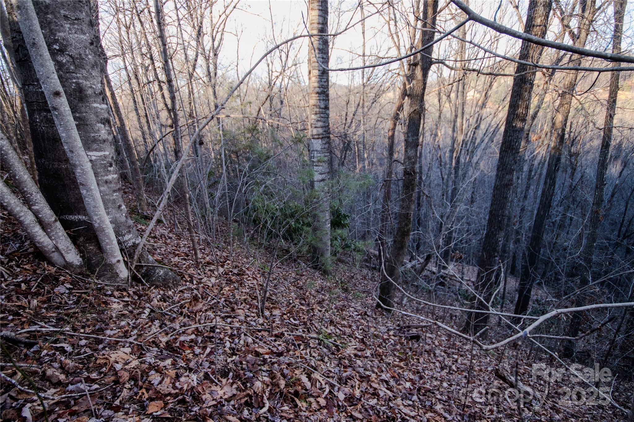 Image 3 Image 3