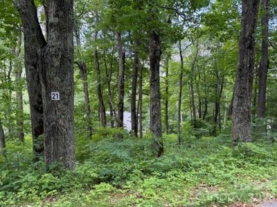 Lot 21 Odalu Trail