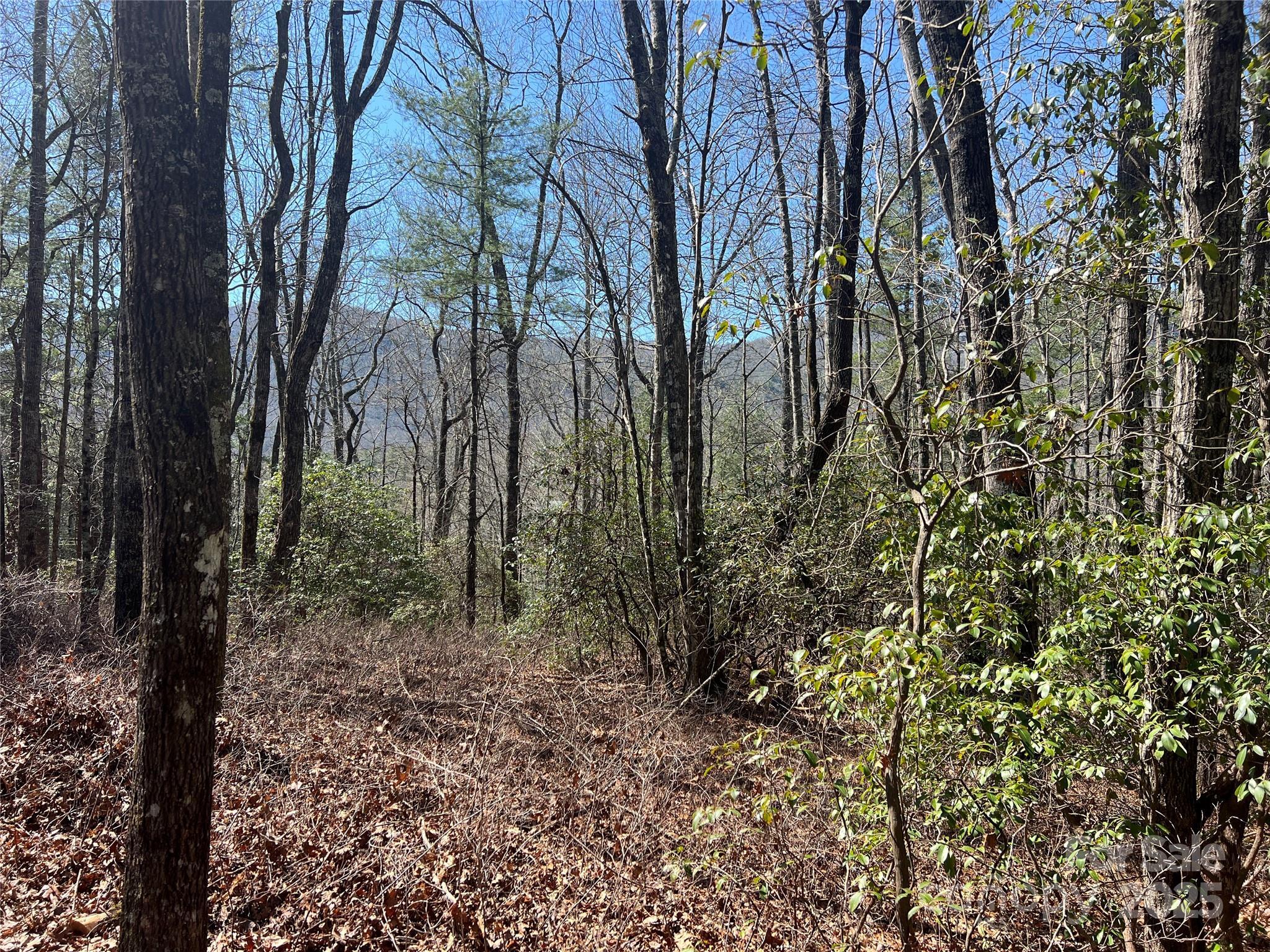 Image 3 Image 3