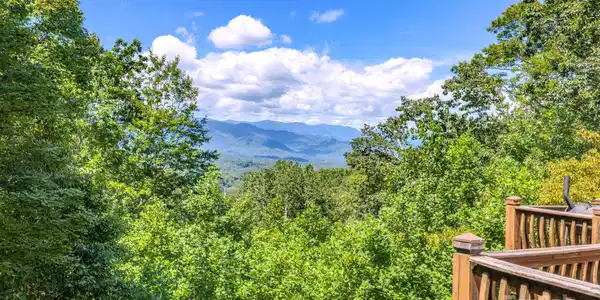 1595 Grants Mountain Road