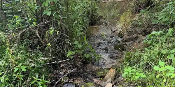 Image 2 Image 2
