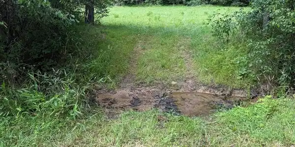 Image 3 Image 3