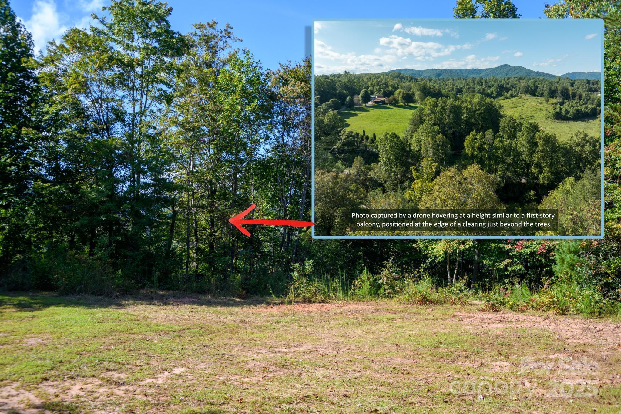 Image 4 Image 4