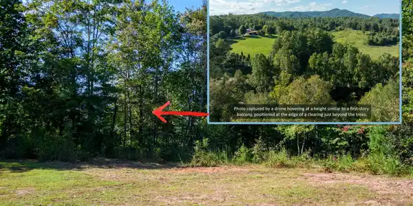 Image 4 Image 4