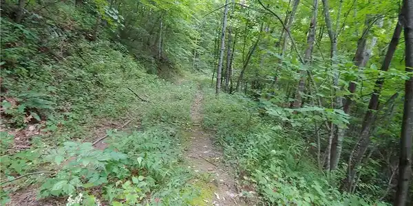 Image 4 Image 4