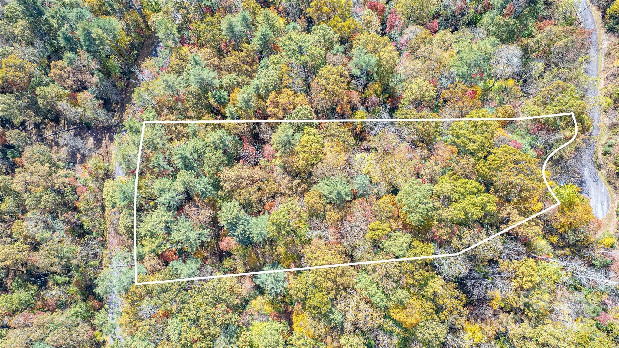 Image 3 Image 3