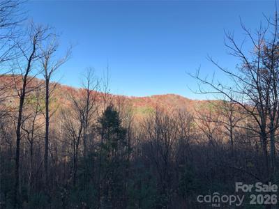 TBD (Lot 19) Wolf Den Lane