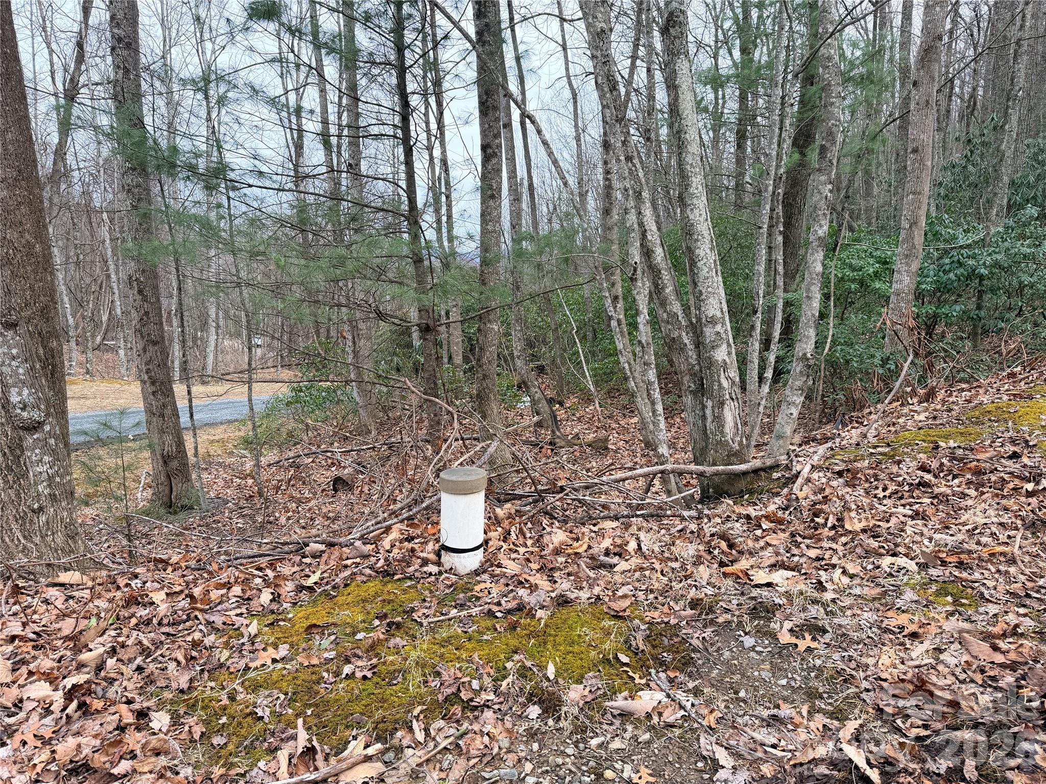 Image 3 Image 3