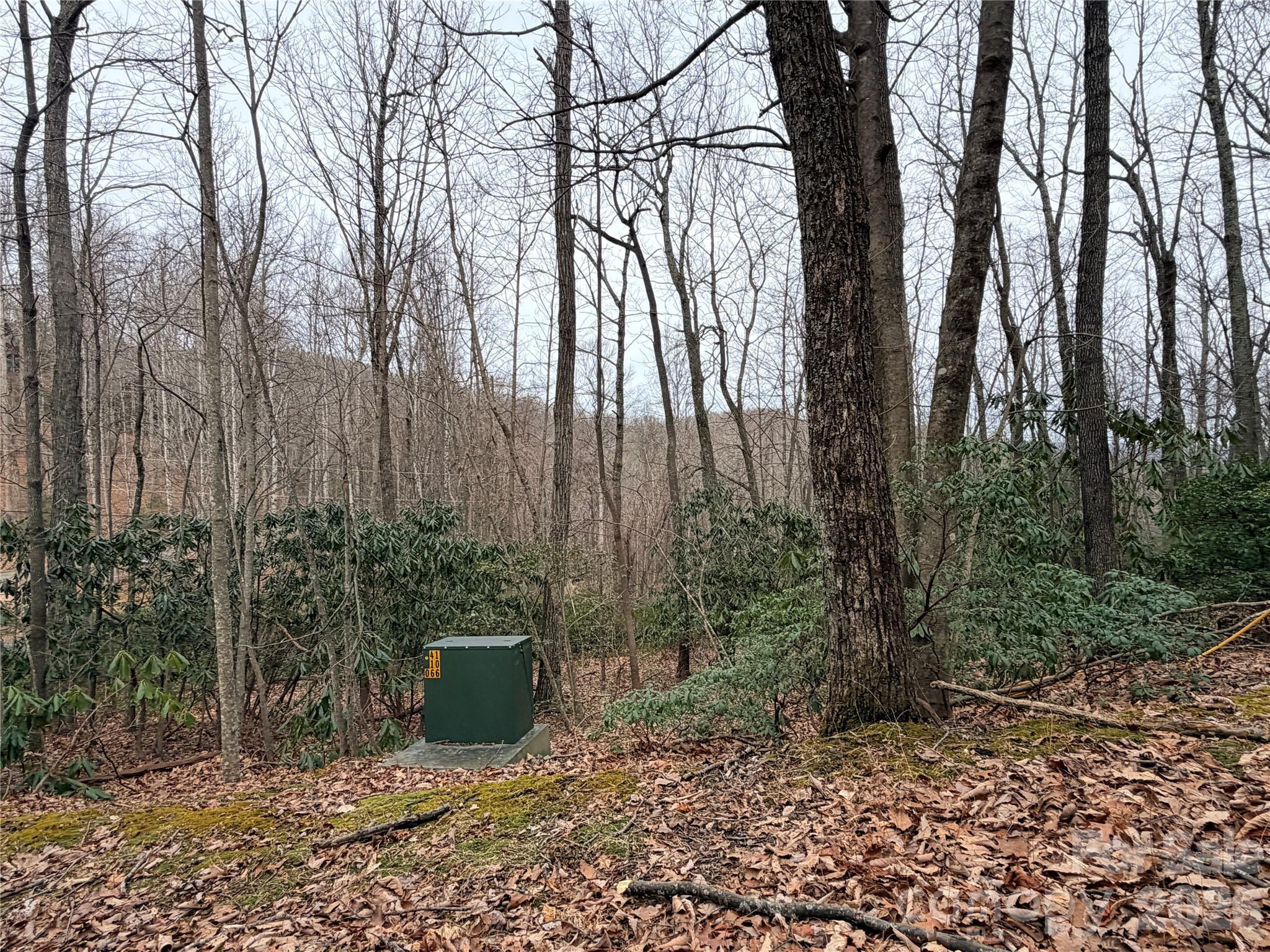Image 4 Image 4
