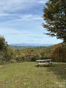 Tract 2 Turkey Trot Road