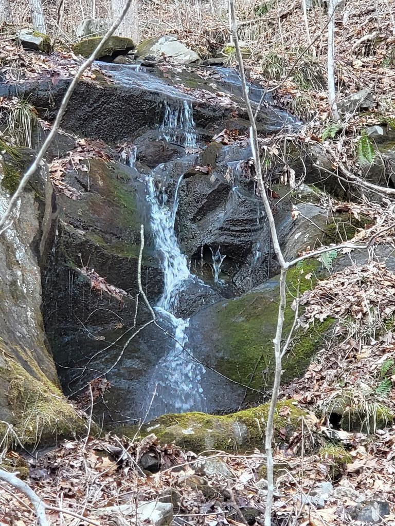 Image 4 Image 4