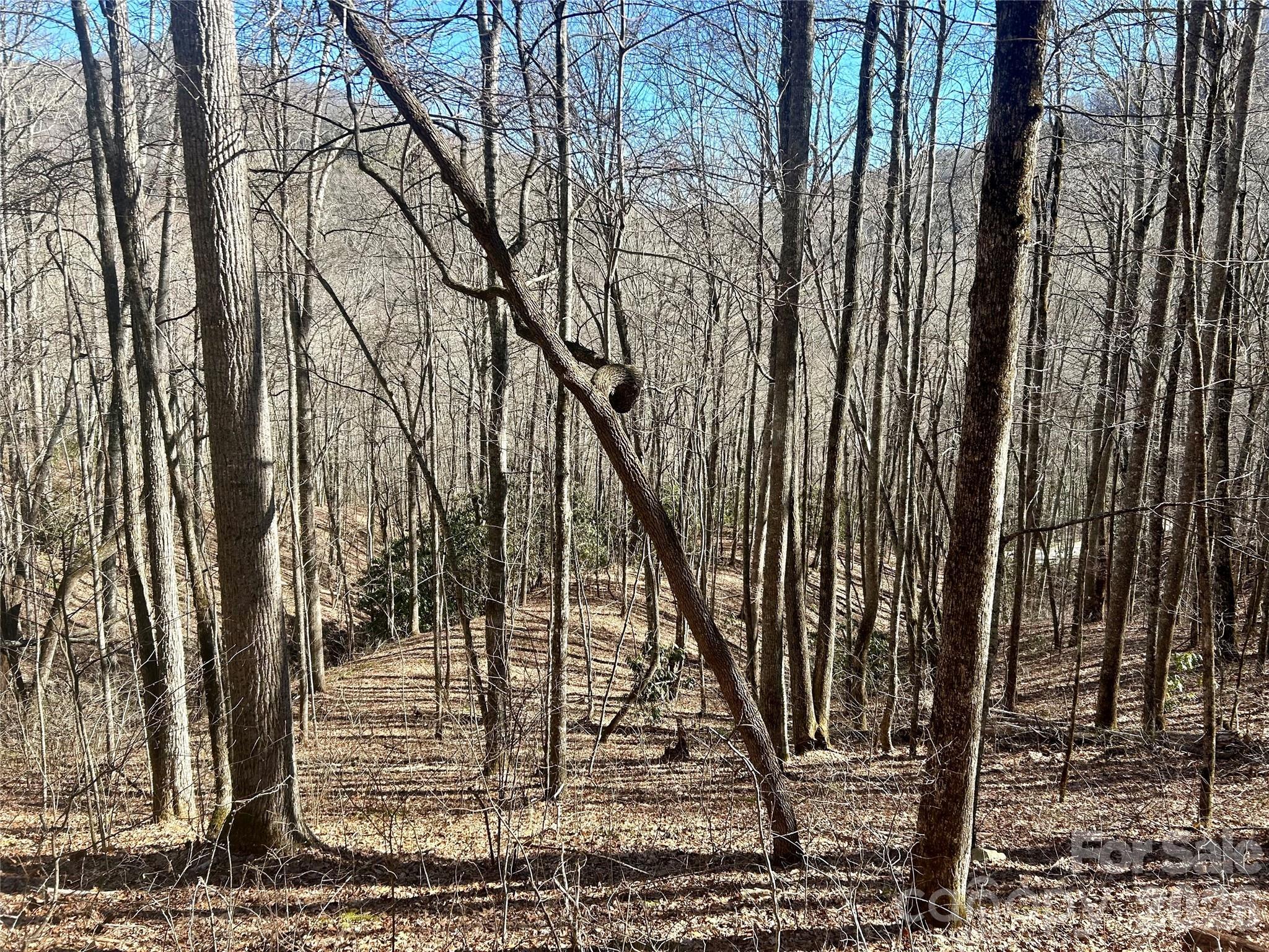 Image 3 Image 3