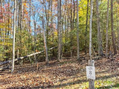 000 Nature Walk Lane