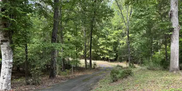 Image 4 Image 4