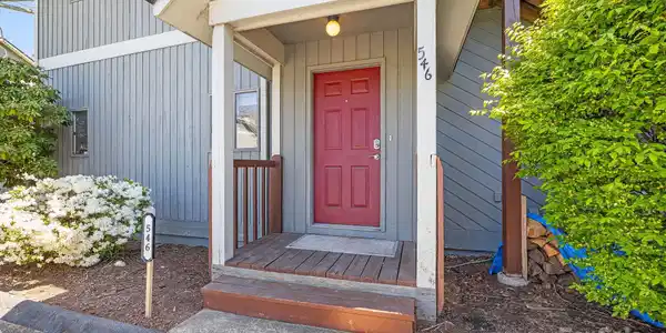 546 Windswept Drive