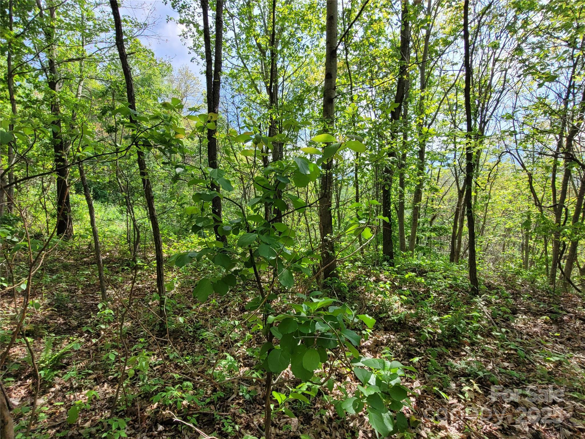 Image 4 Image 4