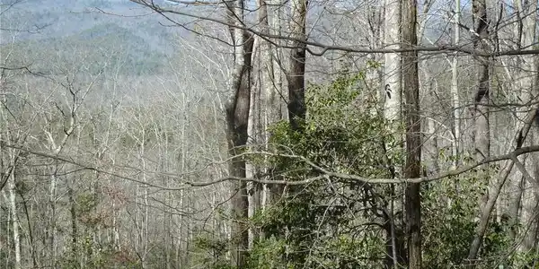 Image 3 Image 3
