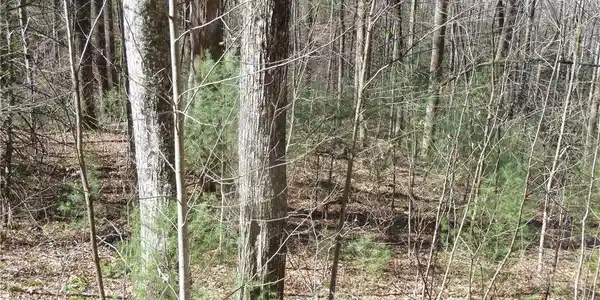 Image 4 Image 4