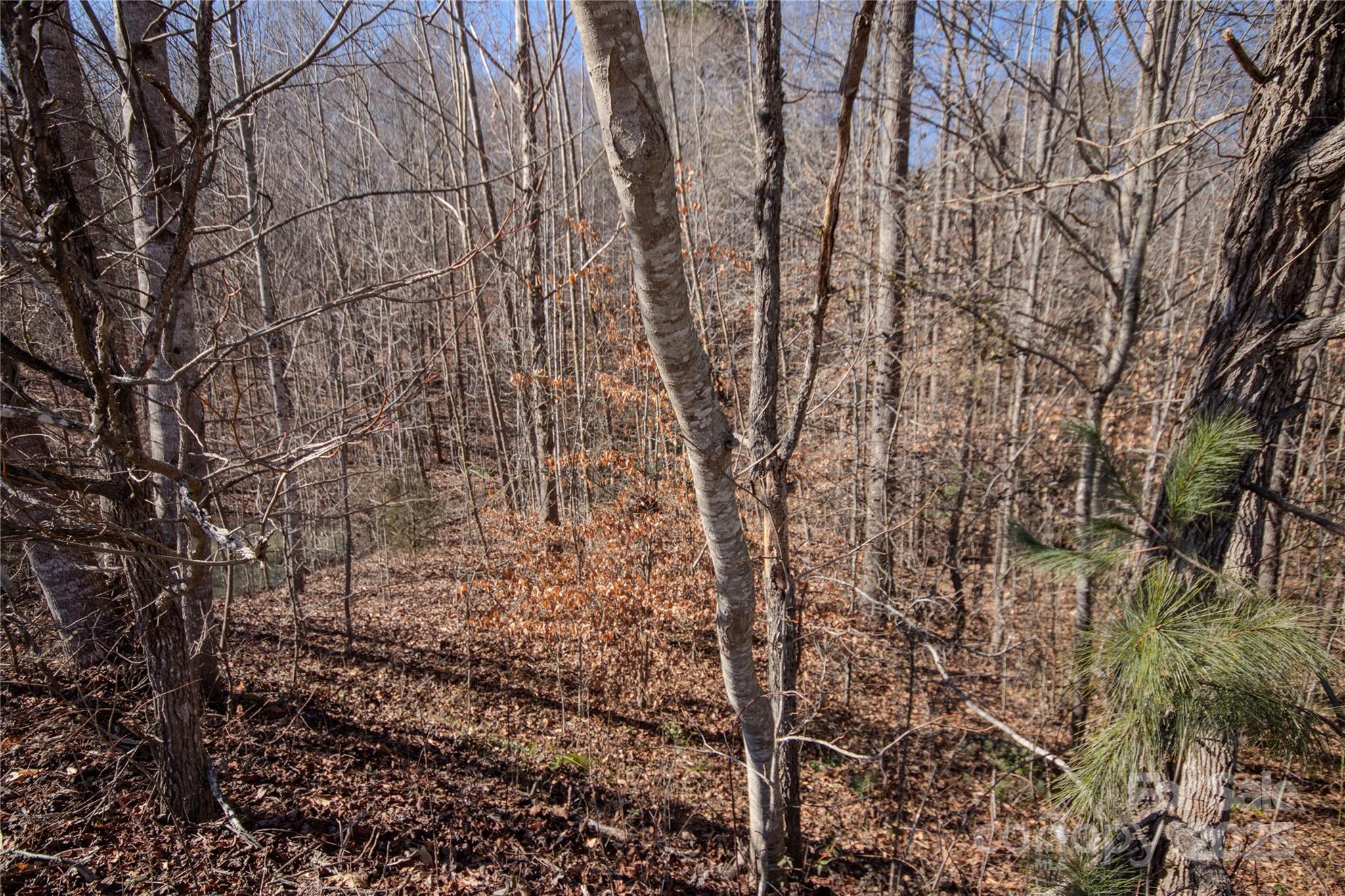 Image 3 Image 3