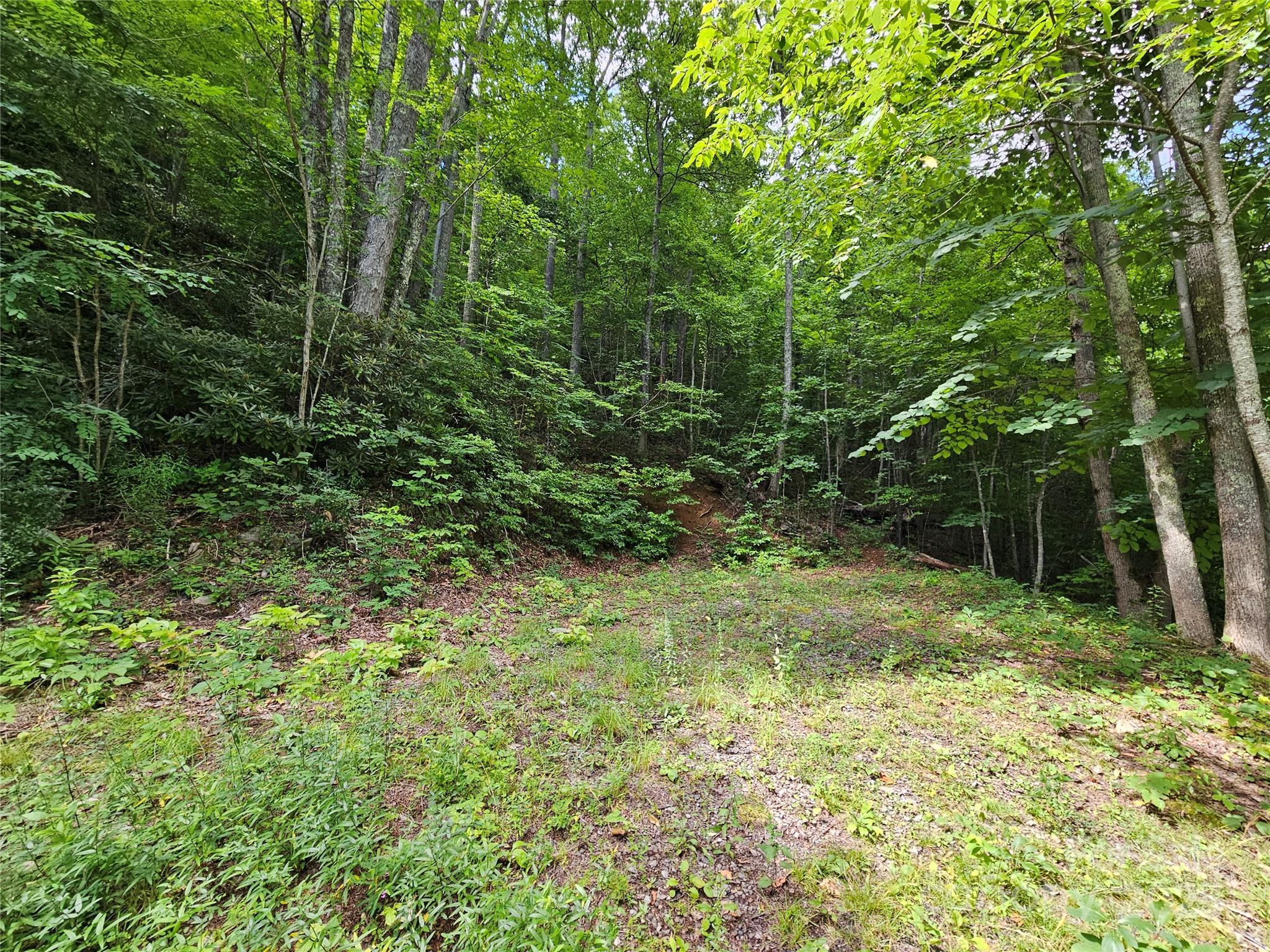 Image 4 Image 4