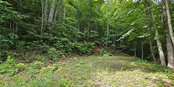 Image 4 Image 4