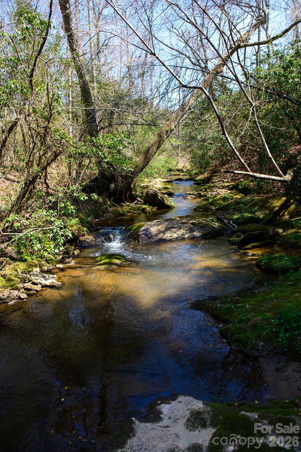 Image 3 Image 3
