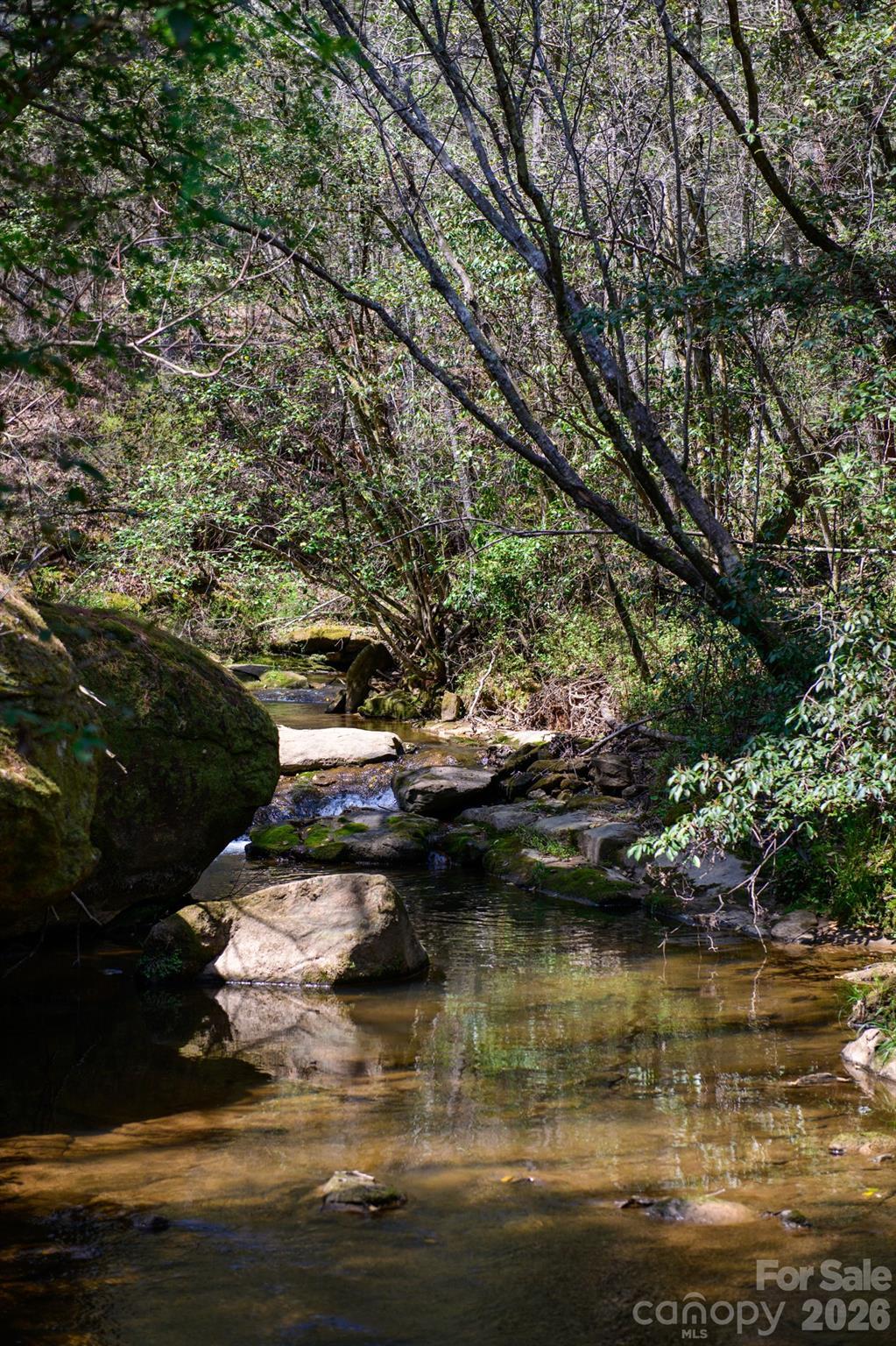 Image 4 Image 4