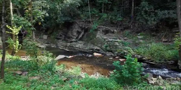 1363 Armstrong Creek Road