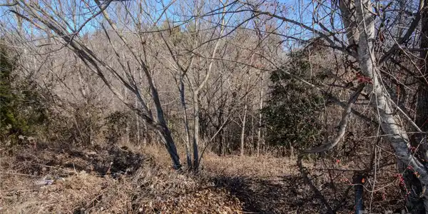 Image 4 Image 4