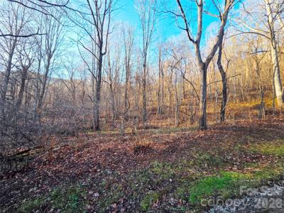123 Live Oak Loop