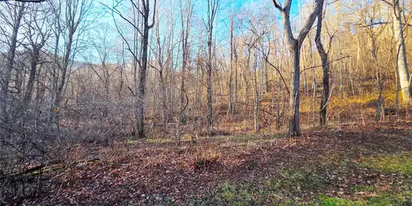 123 Live Oak Loop