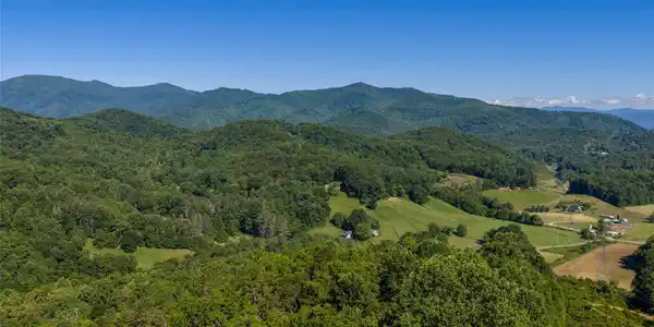 Image 4 Image 4