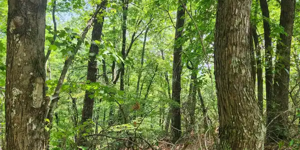 Lot 117, 118, & 132 Summit Court