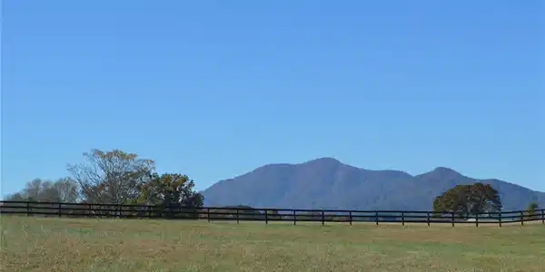 00 Saddleside Drive