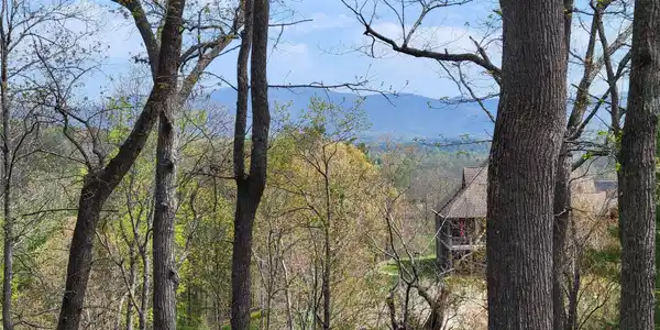 65 Bradford Vista