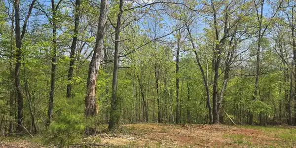 Lot 23 High Rock Ridge