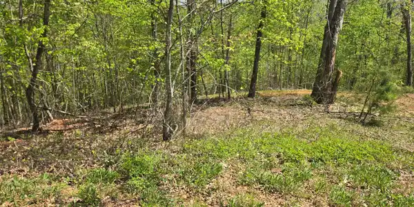 Image 4 Image 4