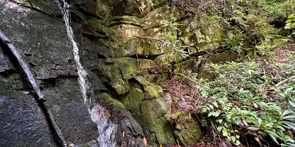 Image 3 Image 3