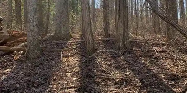 Image 4 Image 4