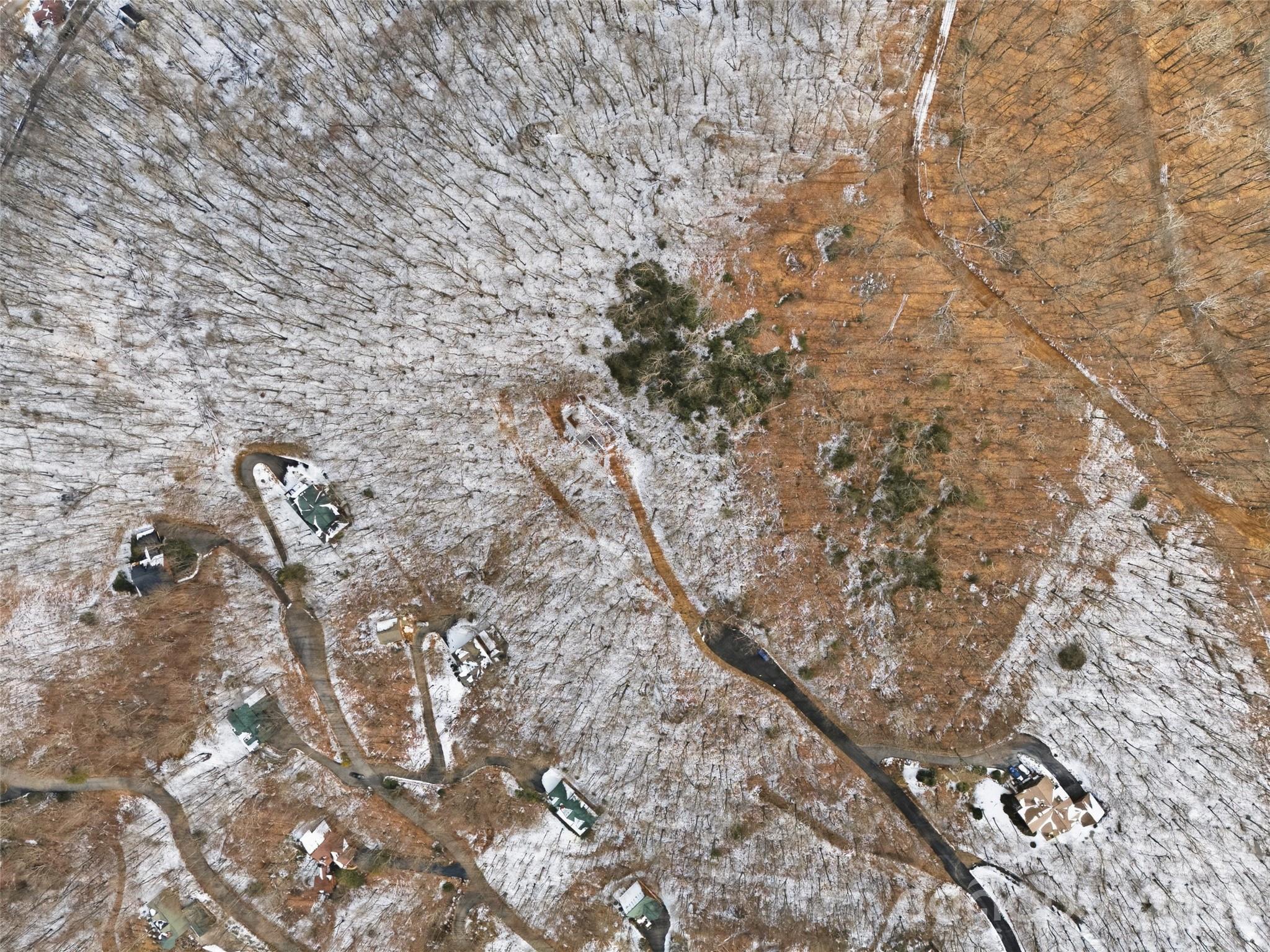 Image 4 Image 4