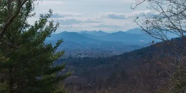 000 Rambling Ridge Road
