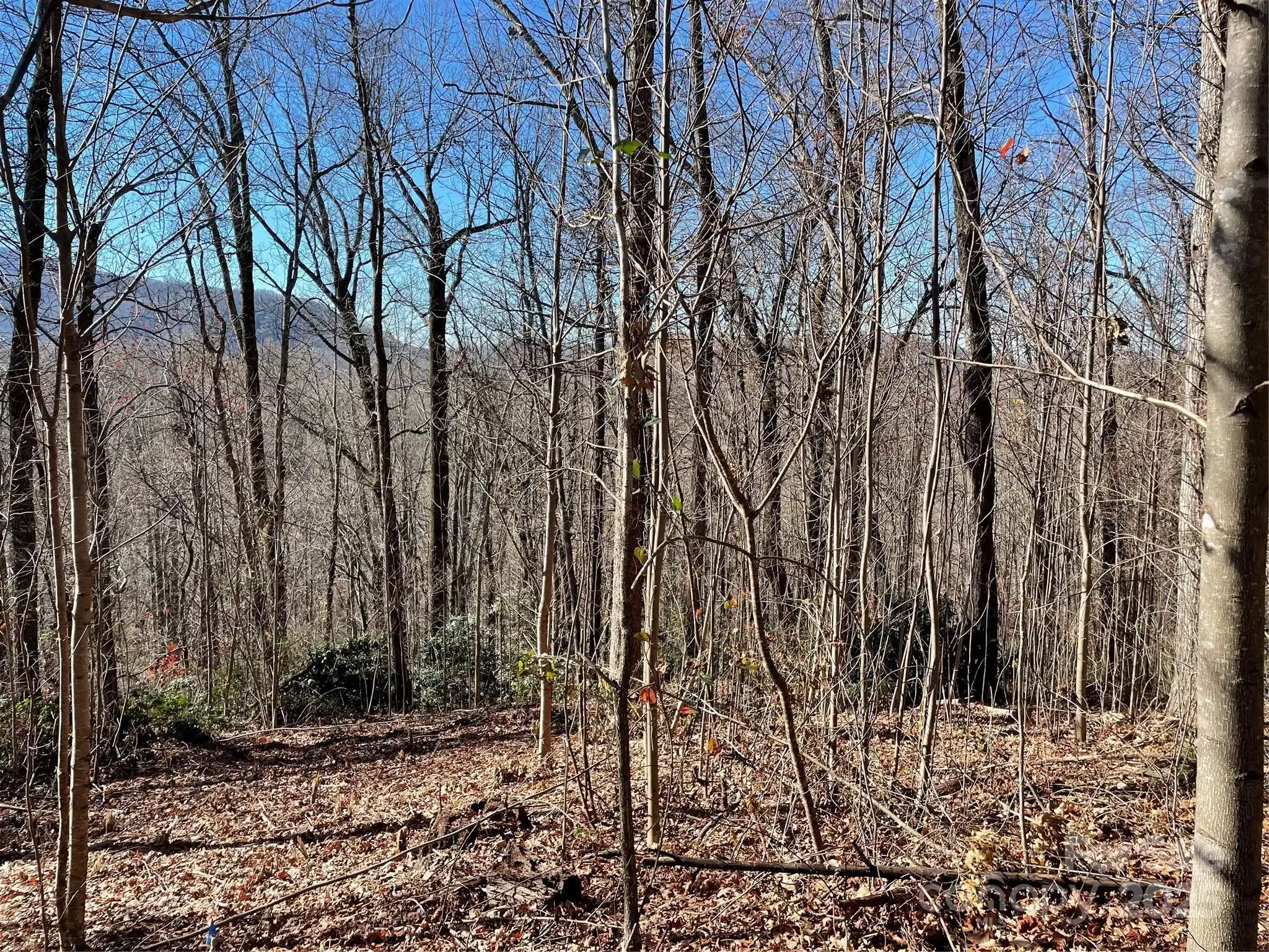 Image 1 Image 1