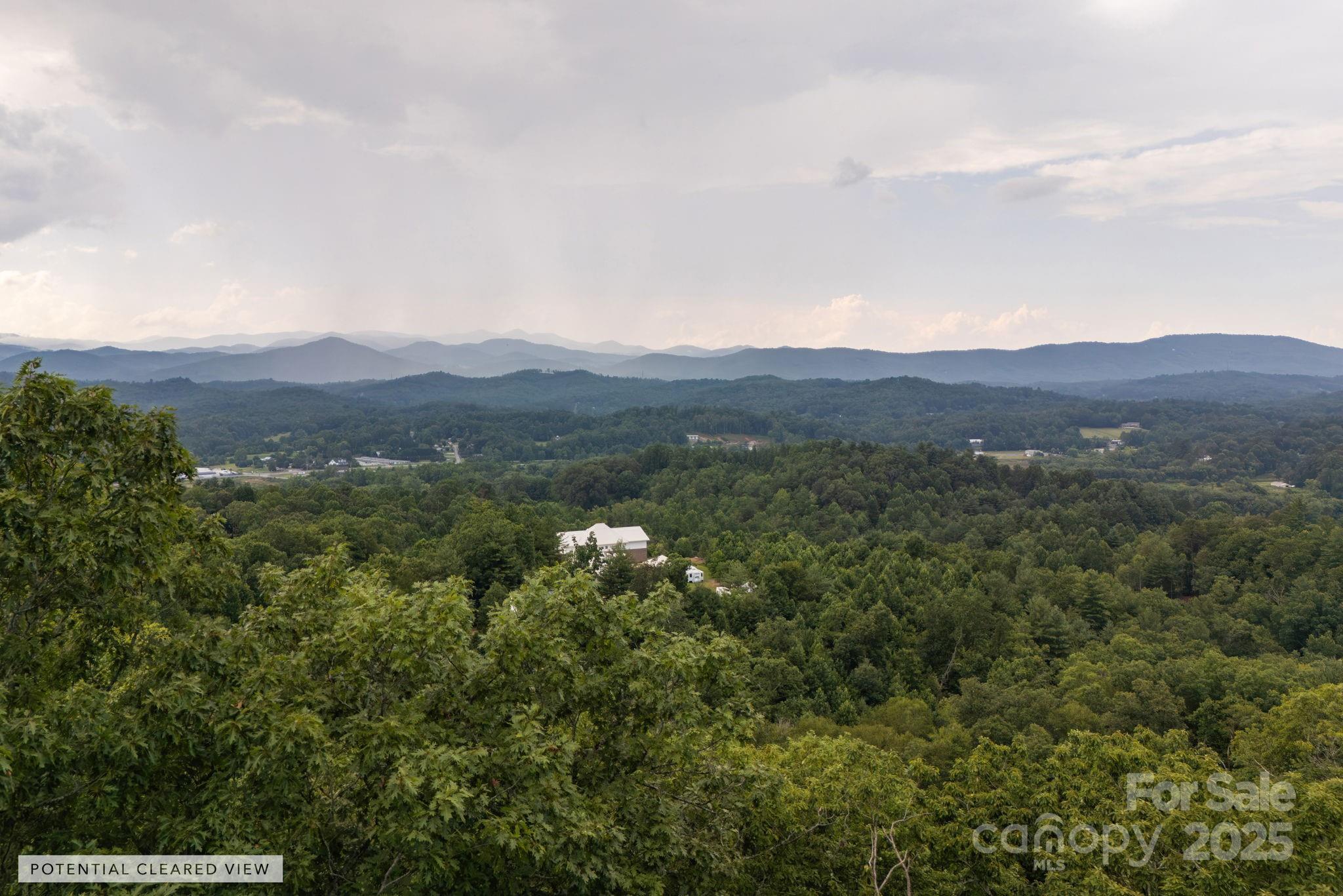 Image 1 Image 1