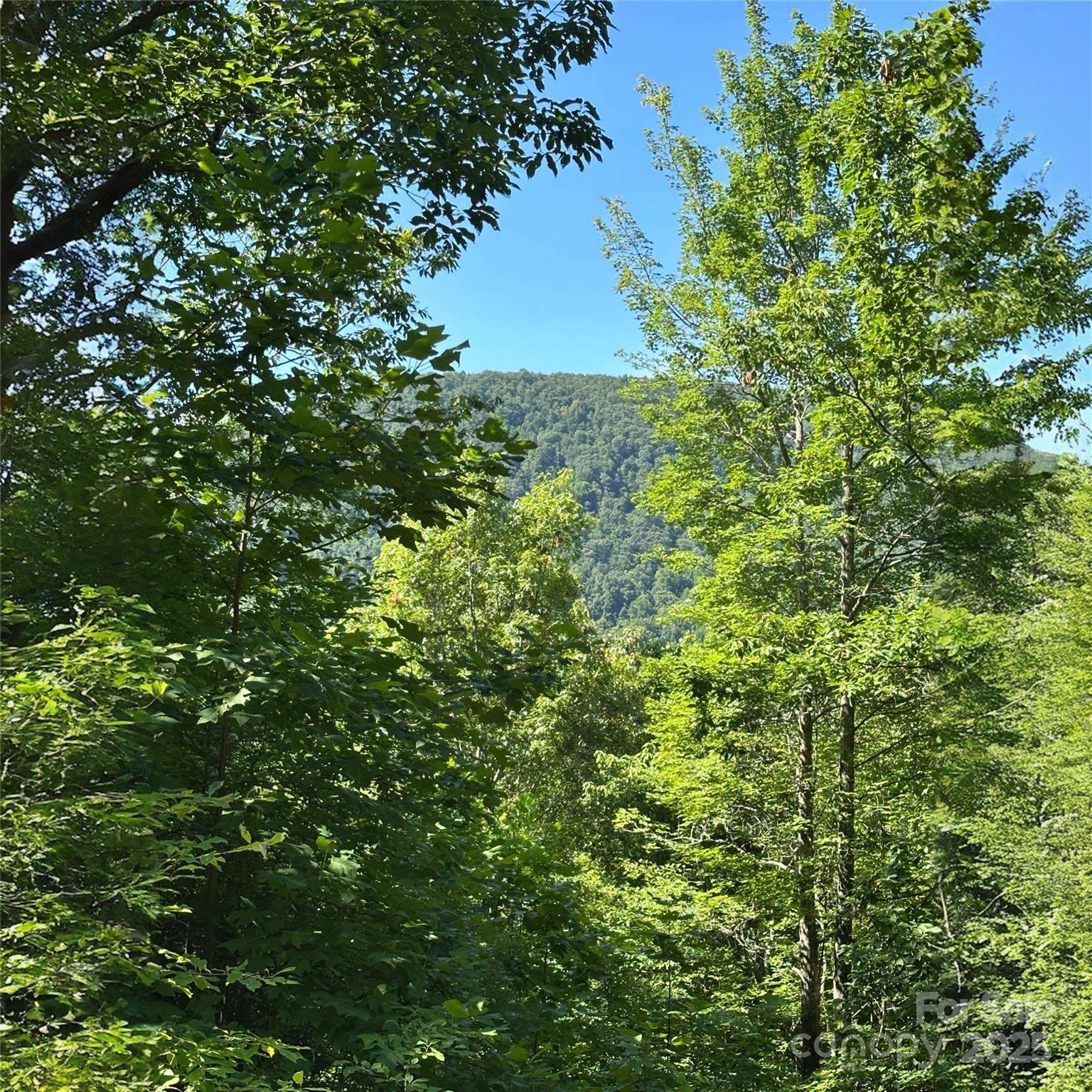 Image 2 Image 2