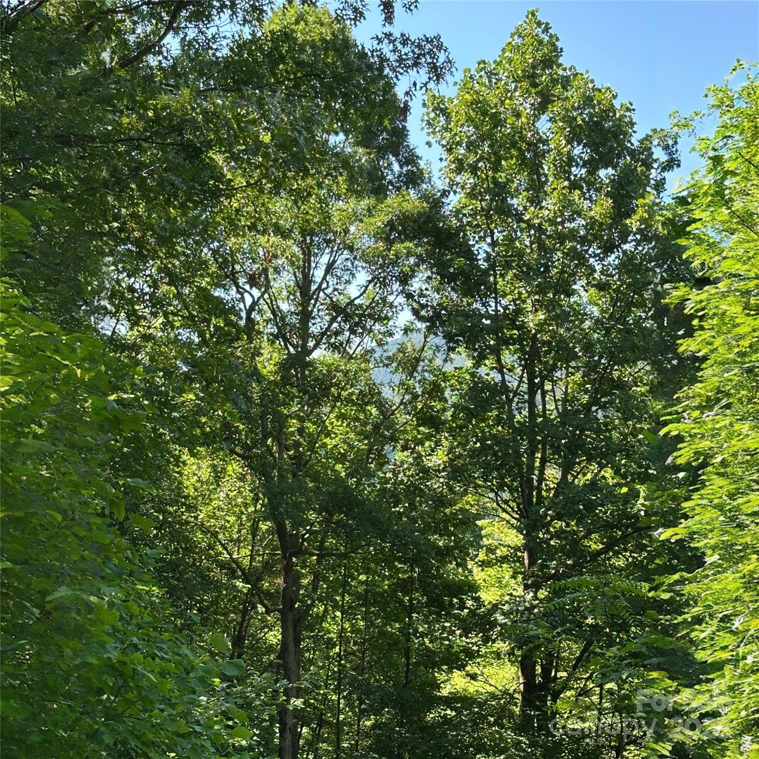 Image 3 Image 3