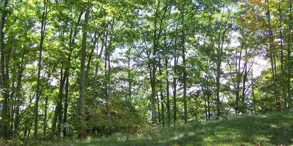 Image 2 Image 2