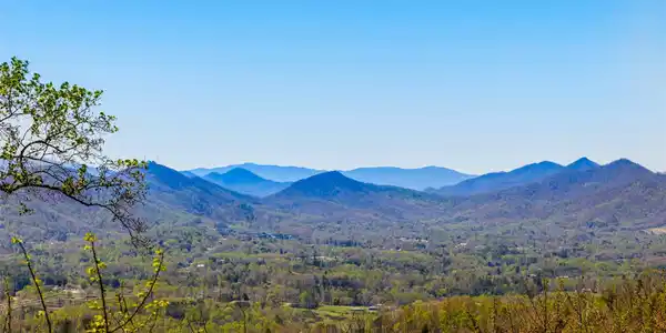 5 Soaring Hawk View