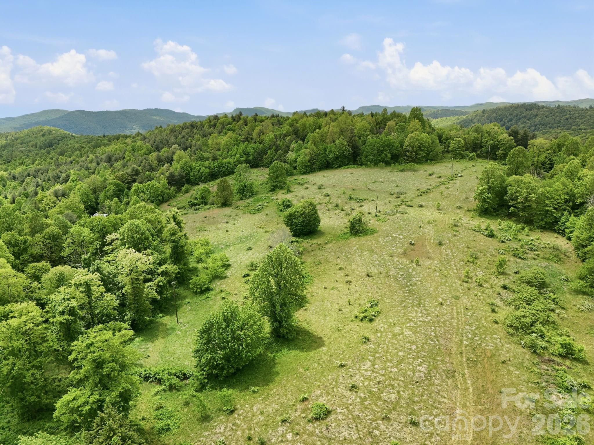 Image 4 Image 4