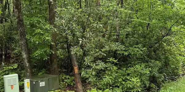 Image 3 Image 3