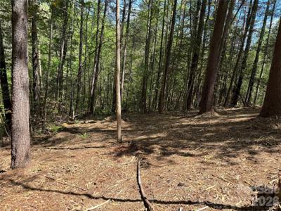 1665 Round Mountain Parkway